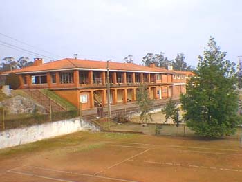 Canchas y galer�as... hoy