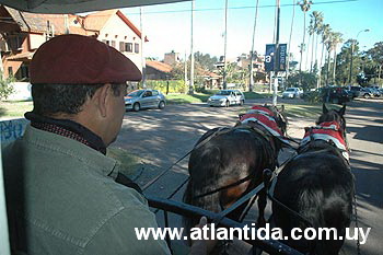 el conductor del tranvia en plena labor