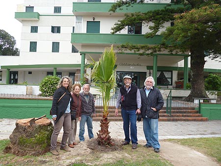 myrsine - reposicion historicas palmeras
