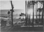 Foto antigua de la Playa Mansa y su arboleda