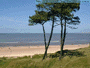 Playa Mansa de Atl�ntida - Foto 001