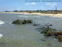 Pesca en Atl�ntida - Foto 003