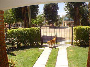 395 jardin